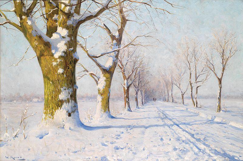 Walter Moras A sunny winters day